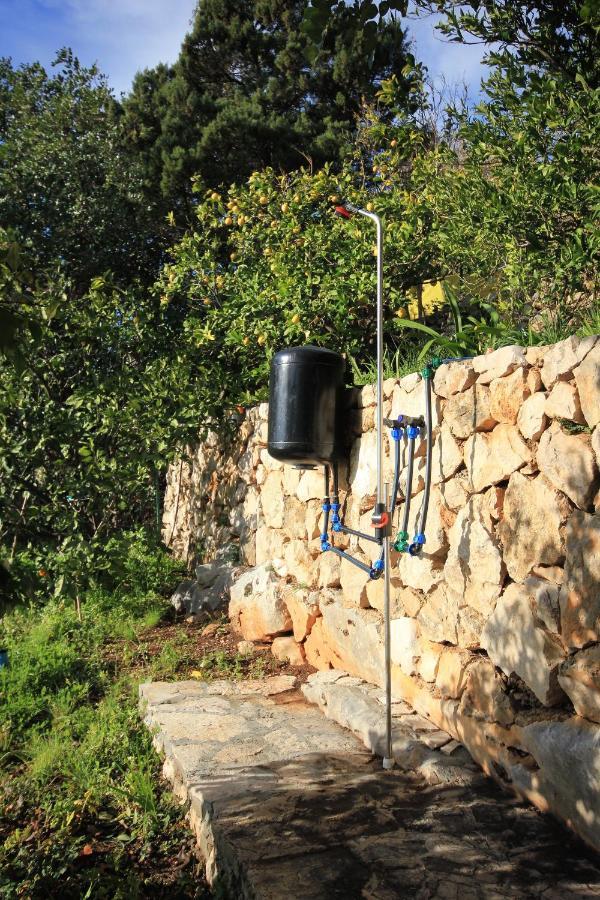 Apartments With A Parking Space Zavala, Hvar - 8912 Exterior foto